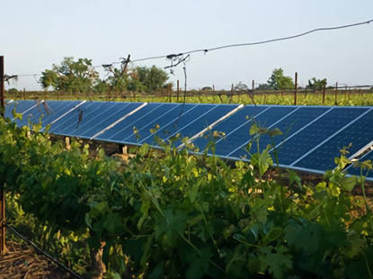 Năng lượng mặt trời cho các nhà máy rượu và vườn nho